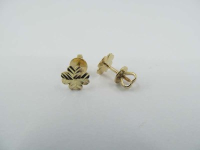 IMG_1367-w800